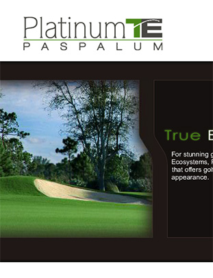 Platinum TE™ Website